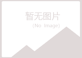 赤峰松山夏青采矿有限公司